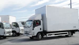 Tauro conductor manejando una caja seca