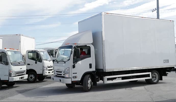 Tauro conductor manejando una caja seca 